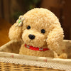 Cute Teddy Dog Plush – Handmade Simulation Poodle