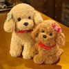 Cute Teddy Dog Plush – Handmade Simulation Poodle