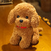 Cute Teddy Dog Plush – Handmade Simulation Poodle