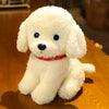 Cute Teddy Dog Plush – Handmade Simulation Poodle